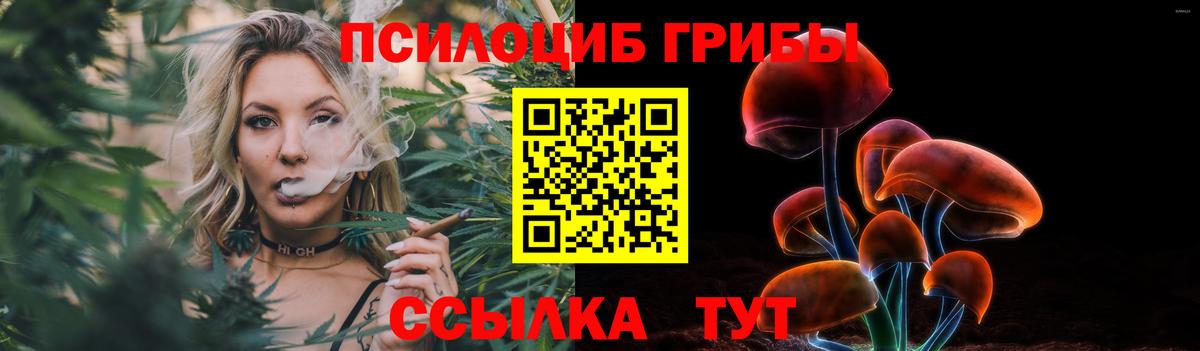 Псилоцибиновые грибы GOLDEN TEACHER  Псилоцибиновые грибы мухоморы  Набережные Челны  Вход с VPN 